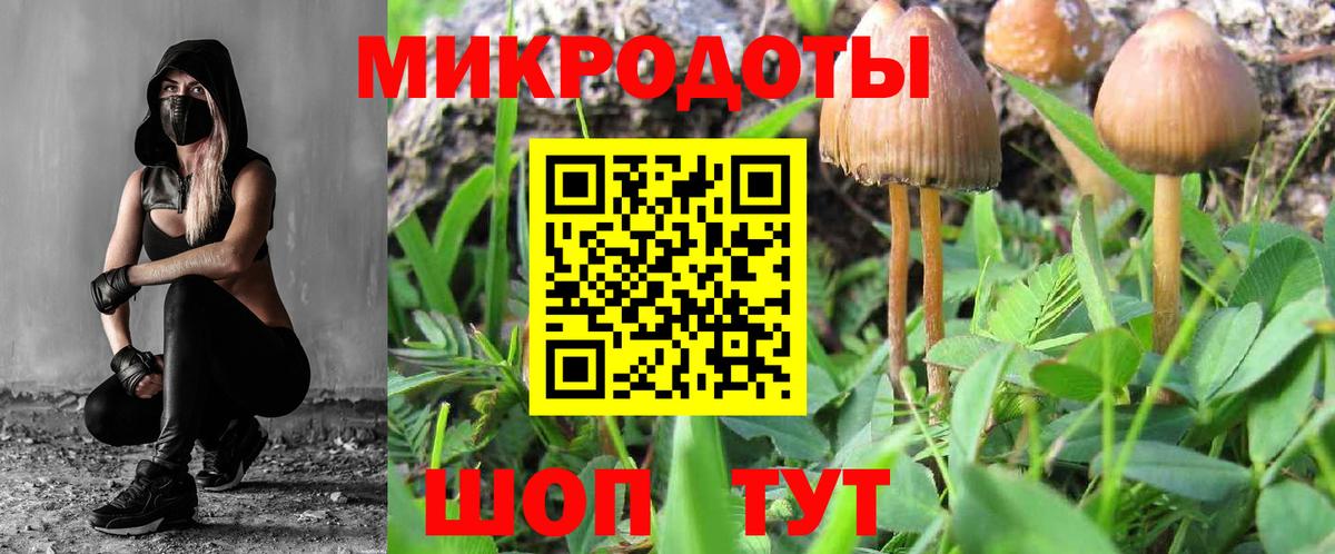 Галлюциногенные грибы прущие грибы Братск