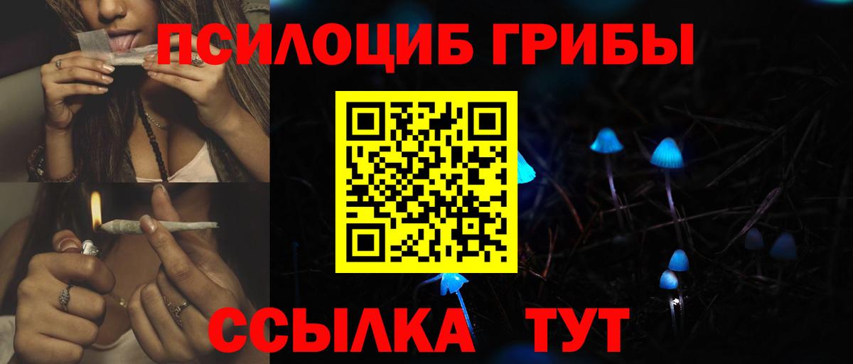 Галлюциногенные грибы Cubensis  Вход с VPN  Братск 